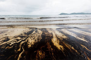 Dégradation microbienne des hydrocarbures pétroliers - Product Image 4