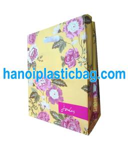 Size 30*45cm shopping die cut plastic bag with cheap price and good quality - Product Image 4