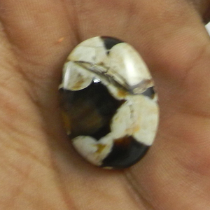 หินโมราถั่วลิสงธรรมชาติ3.31 Gms รูปไข่18X24มม. อัญมณีหลวม Cabochon - Product Image 3