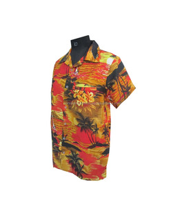 Nouveau design en gros Polyester mode imprimé été hawaïen homme styles 100% polyester tissu coupe poche chemise de plage - Product Image 5