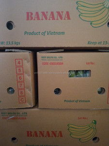 FRESH CAVENDISH BANANA Vietnam 2024 - Product Image 5