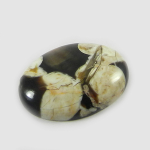 หินโมราถั่วลิสงธรรมชาติ3.31 Gms รูปไข่18X24มม. อัญมณีหลวม Cabochon - Product Image 1
