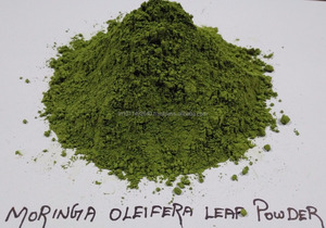 Polvo de hoja de Moringa oleifera de la mejor calidad, producto agrícola Premium - Product Image 2