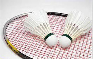 ลูกแบดมินตัน Rex Duck Feather Shuttlecock 4.9 กรัม เกรดแข่งขัน สีขาว OEM รับทำโลโก้ตามสั่ง - Product Image 6