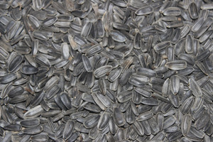 Pastel de semillas de girasol para caballos y ganado para uso - Product Image 4