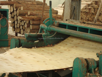 Placage de contreplaqué rotatif en bois naturel de haute qualité, épaisseur 1,0-3,0 mm, 640x1270mm/640x970mm/1220x2440mm, de Long Dat Corp