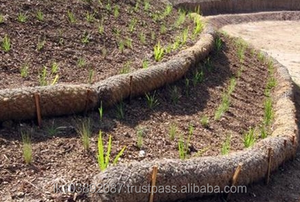 Troncos de Fibra de Coco Natural GALUKU GCL Ecológicos, Cilíndricos, Color Marrón Natural, Producto Agrícola - Product Image 3