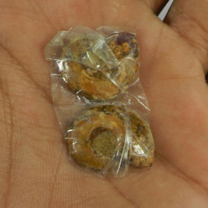 ขายร้อนธรรมชาติ Ammonite 3.80 Gms 1คู่21X20มิลลิเมตรพลอยหลวมสำหรับทำเครื่องประดับ - Product Image 3