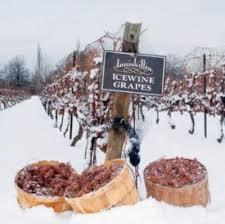 Tipo de cesta Máquina de prensa de vino de hielo Máquina trituradora de uva - Product Image 3