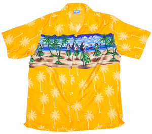 Design imprimé personnalisé drôle 100% Polyester vêtements de plage de villégiature imprimé hommes portent chemise de plage hawaïenne à manches courtes - Product Image 2