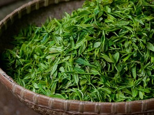 Té Verde Helado de Durazno Saludable y Refrescante <span class=keywords><strong>Original</strong></span> de China - Product Image 4