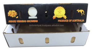 Cajas de Embalaje de Cartón Corrugado Impresas para Fruta de la Pasión - Product Image 3