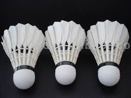 Pluma de bádminton T-Rex de plumas de ganso natural 4.9g, velocidad profesional para torneos 75-78 - Product Image 3