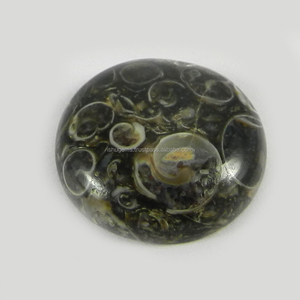 Cabujón Redondo de Jaspe Turterra Natural de 18 mm, Gema Mineral Verde y Azul para Joyería - Hermoso Cristal - Product Image 1