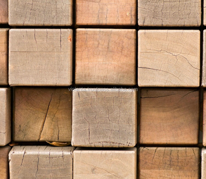 <strong>RUSSIAN</strong> Timber Log / Sawlogs /Wood Round Logs / Lumber /PINE / SPRUCE / LARCH / BIRCH