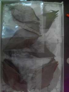 Produit agricole séché par poudre verte nutritive organique de feuille d'amarante de YAMUNA - Product Image 1