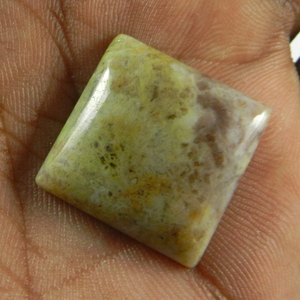 Gema de Jaspe Segenita Natural Cuadrada de 20 mm, 4.03 g, Gema Suelta, Categoría de Producto IG1826 - Product Image 3