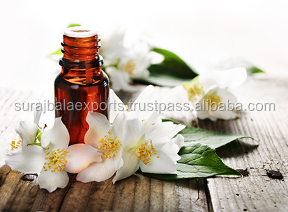 aroma essential oils rainforest