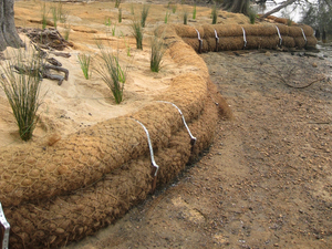 Troncos de Fibra de Coco Natural GALUKU GCL Ecológicos, Cilíndricos, Color Marrón Natural, Producto Agrícola - Product Image 2