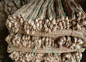 Jacinto de Agua Seco para Manualidades - Product Image 5