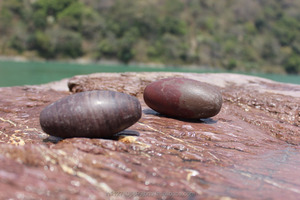 Rudra Enterprises Stone Narmadeshwar Shivalinga宗教ボールグローブ仏教洗練されたインドアートコレクティブル10122740像 - Product Image 2