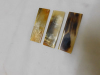 Plaques en forme de corne du citrouille, 12 pièces, tailles assorties, adaptées aux fabricants de lunettes et pour l'artisanat