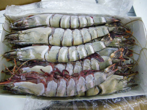 HOSO U5 — 40 cm, tigre de mer, crevettes, extérieur - Product Image 3