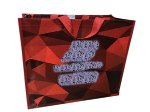 Bolsas de Compra Reciclables de Polipropileno Tejido de la Marca EVERGREEN, Hechas en Vietnam, Bolsas de Compras Reutilizables y Bolsas de Transporte, Tamaño Personalizable - Product Image 4