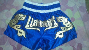 Short Muay Thai en Satin 100% avec Logo Personnalisé - Product Image 5