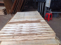 Contreplaqué de première qualité E2 calibré 16 mm en eucalyptus du Vietnam pour meubles, marque KEGO, utilisation intérieure