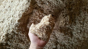 Poussière de scie à bois de pin, pour le rasage du bois, de haute qualité, offre spéciale depuis la livraison rapide du vietnam - Product Image 5