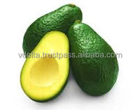Verse Avocado-Originele Vietnam