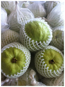 GOYAVE FRAIS-QUALITÉ EXPORTÉE - Product Image 6