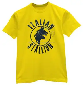 100% cotton High quality man's custom t shirt with silk-screen printing