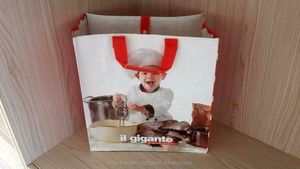 Bolsas de Compra Reutilizables de Polipropileno Tejido de la Marca EVERGREEN, Reciclables, con Asas de Longitud de Mano, Tamaño Personalizado, Fábrica de Vietnam - Product Image 2