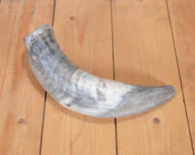 Corne du marmite/de bœuf/de vache, pour la décoration, fait en inde, matériel biologique Vintage poli rw0088, 34648 - Product Image 4