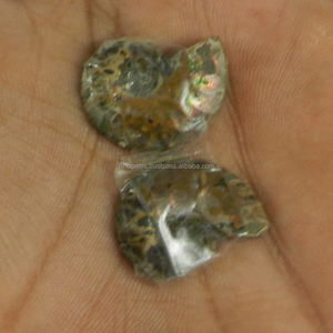 Pierre précieuse naturelle en amonite 23x17mm, 1 paire, 5 Gms, ample, pour la fabrication de bijoux, livraison gratuite - Product Image 3
