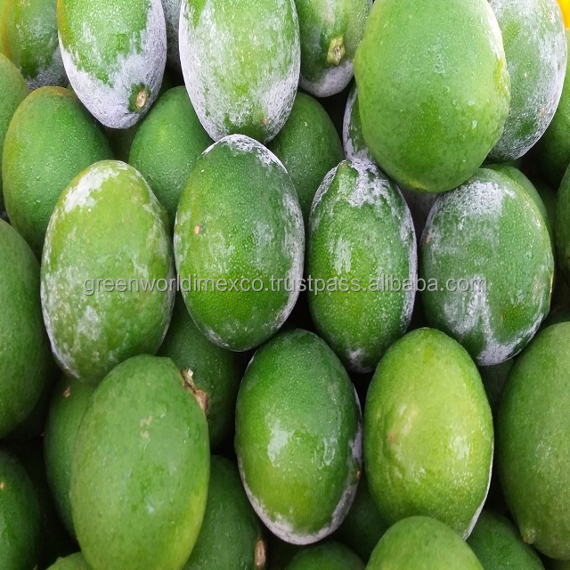 Лучшее предложение вьетнамского зеленого лайма, лучшее качество и Лучшая цена из Вьетнама