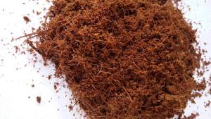 Cocopeat แบบหลวมเติบโตถุงผู้นำเข้านางสาววันหยุด - Product Image 2