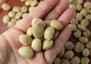 ถั่วซาจิอินชิคั่ว/คุณภาพสูง - Product Image 6