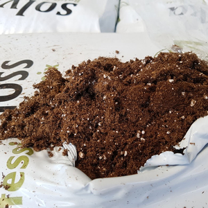 Mousse de TOURBE-SOLVIKA - Product Image 1