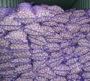 Ajo fresco orgánico - Product Image 4