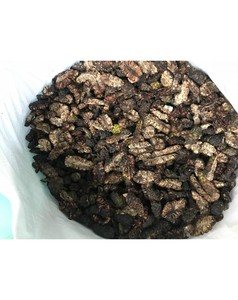 ขายส่งจากเวียดนาม โนนี่แห้ง ในราคาถูก - Product Image 4