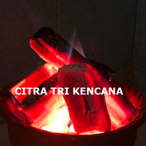 Carbón de fruta de manzana, tiempo de combustión 2-3 horas, grado Súper A, el mejor carbón de Indonesia, para barbacoa en Izhevsk, Rusia. - Product Image 1
