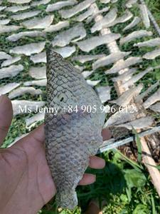 หนังปลานิลแห้ง/หนังปลาดุก/ผิวปลาสวาย - Product Image 3