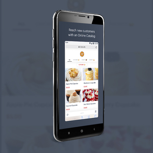 Cheap Custom <strong>Mobile</strong> Pos <strong>Software</strong> | Top Most Cheap Custom <strong>Mobile</strong> Pos <strong>Software</strong> in India by ProtoLabz EServices - Product Image 2