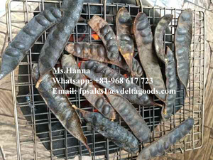 Gleditsia Seca Orgánica / Fructus Gleditschiae para el Cabello en 2021 - Product Image 3