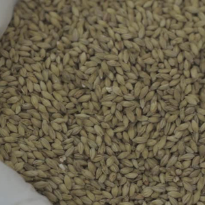 บัควีทคุณภาพดี ได้รับการรับรองมาตรฐาน ISO HACCP สีน้ำตาล บรรจุ 25 กก. - Product Image 1