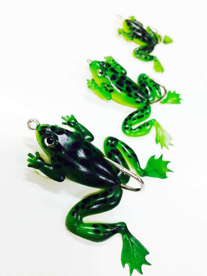 สีเขียวเข้ม