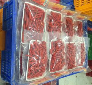 Piment frais du Vietnam, piment rouge fort, herbe aromatique, produit agricole cru, légumes, boîte de 5 kg en PE, en vente - Product Image 5
